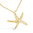 Collar Chapado en Oro 5 Micras Estrella de Mar con Zirconitas