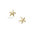 Pendiente Chapado en Oro 5 Micras Estrella de Mar con Zirconita Central